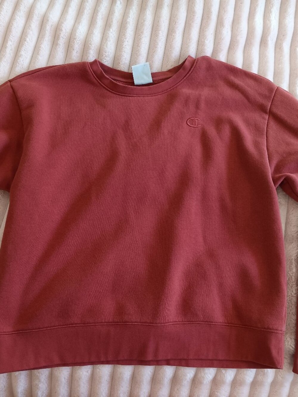 Champion Sweatshirt